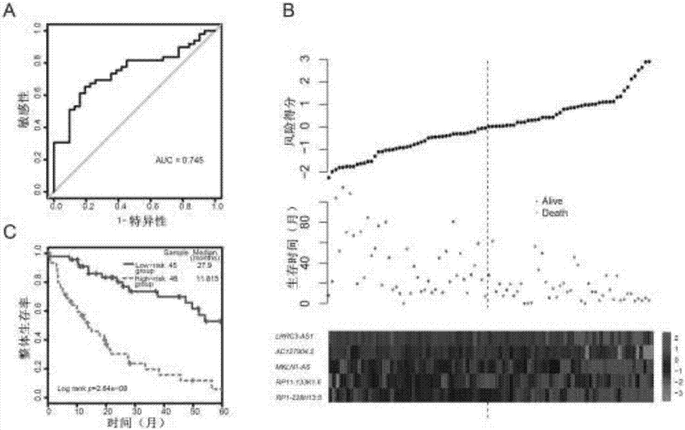 Prognostic Lnc RNA (ribonucleic acid) marker used for predicting liver cancer