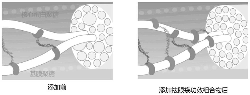 Eye cream composition with under-eye puffiness removing effect and preparation method thereof