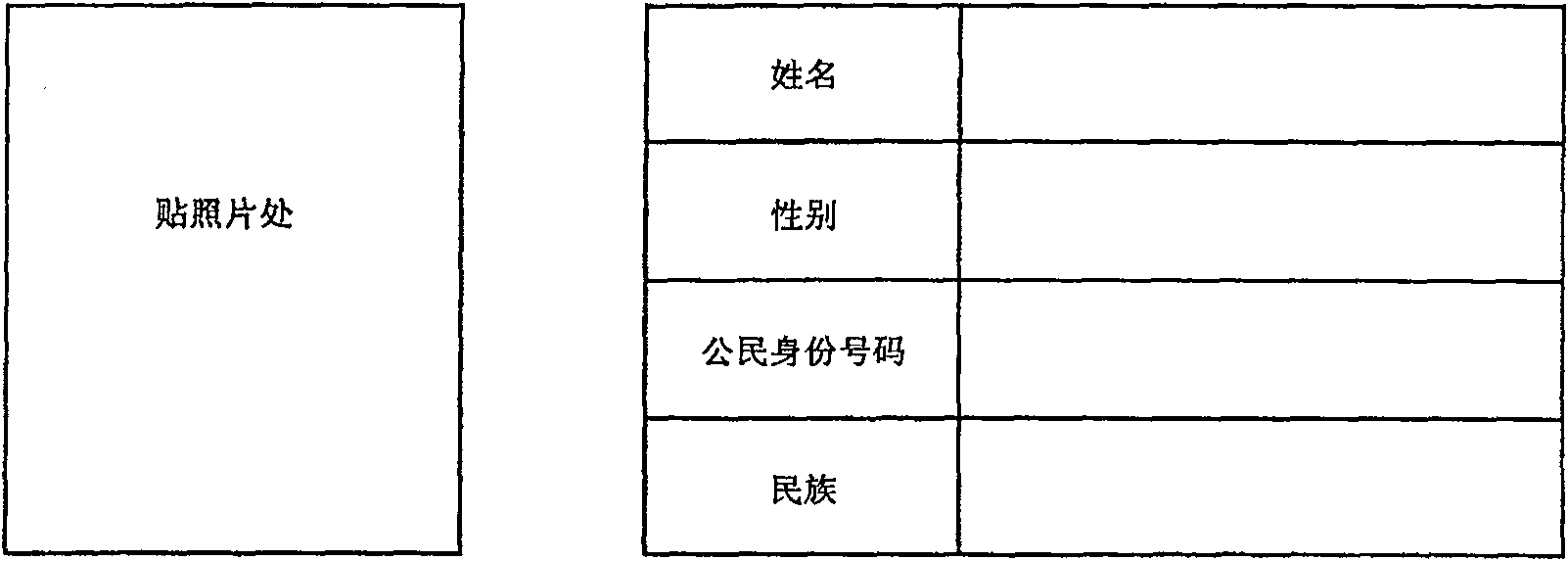 File process system and method