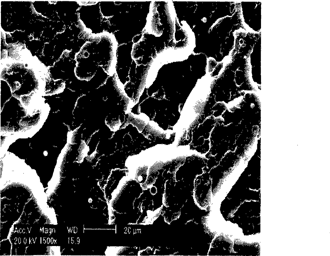 Volume scattering polymer light conducting plate and preparation method for injection mould master batch