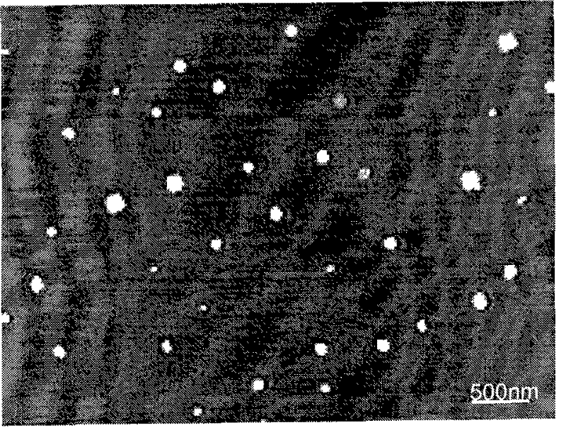 Nano essence dispersion and preparation thereof