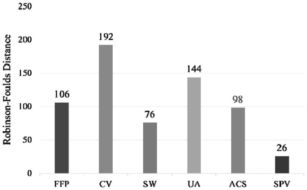 A Method of Phylogenetic Tree Construction Based on Sequential Pattern Mining Algorithm