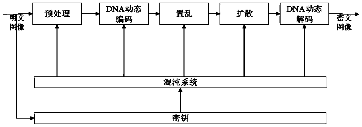 Image encryption method based on random number embedding and DNA dynamic coding