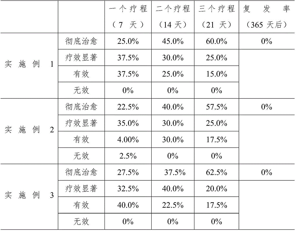 Traditional Chinese medicine hemorrhoid ointment and preparation method thereof