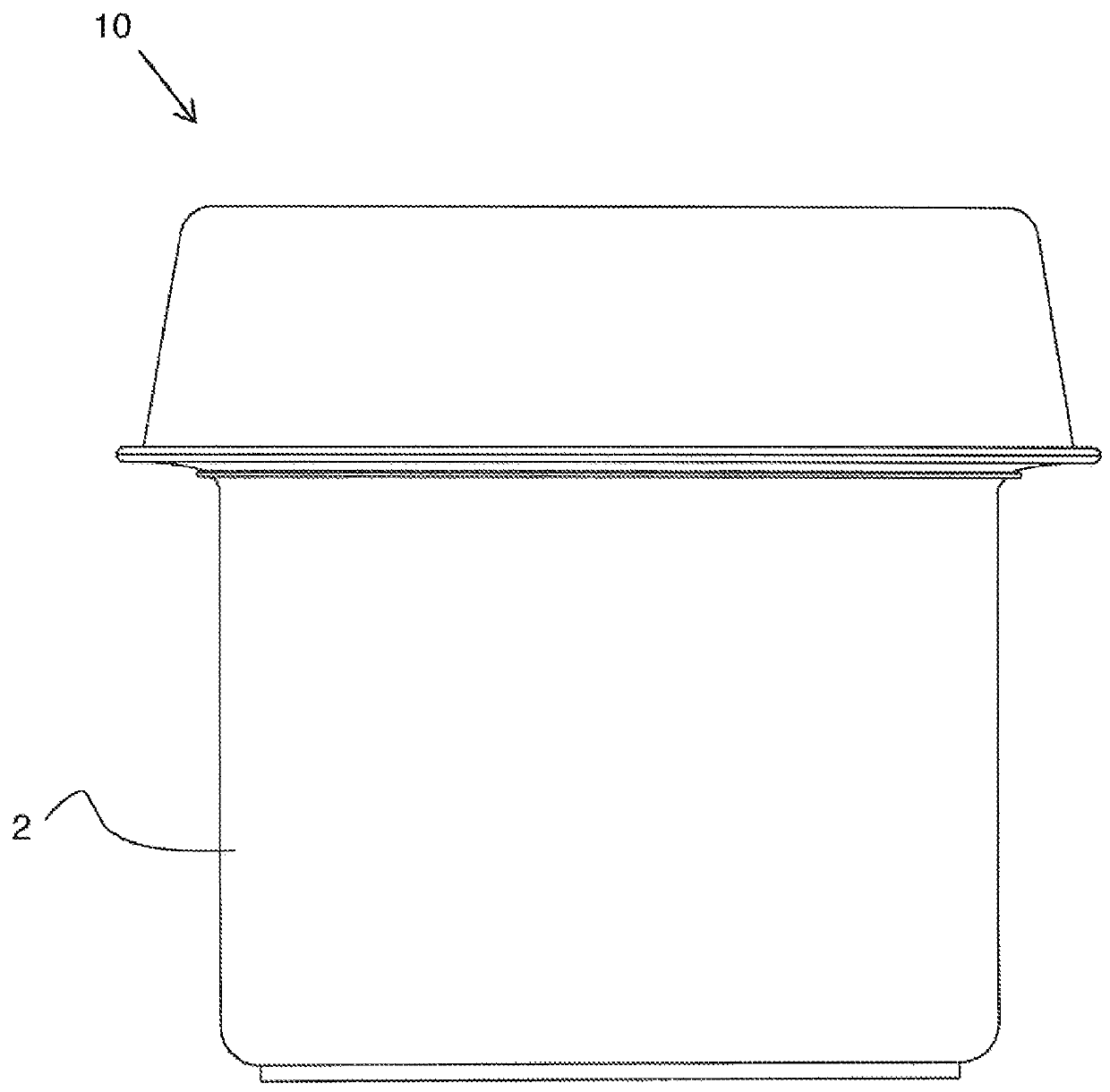 Steam cooking apparatus and method of use