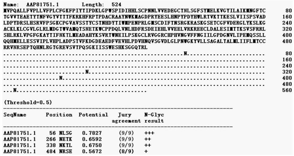 Design of broad-spectrum rabies virus-like particle antigen and stable expression cell strain HEK-293 thereof