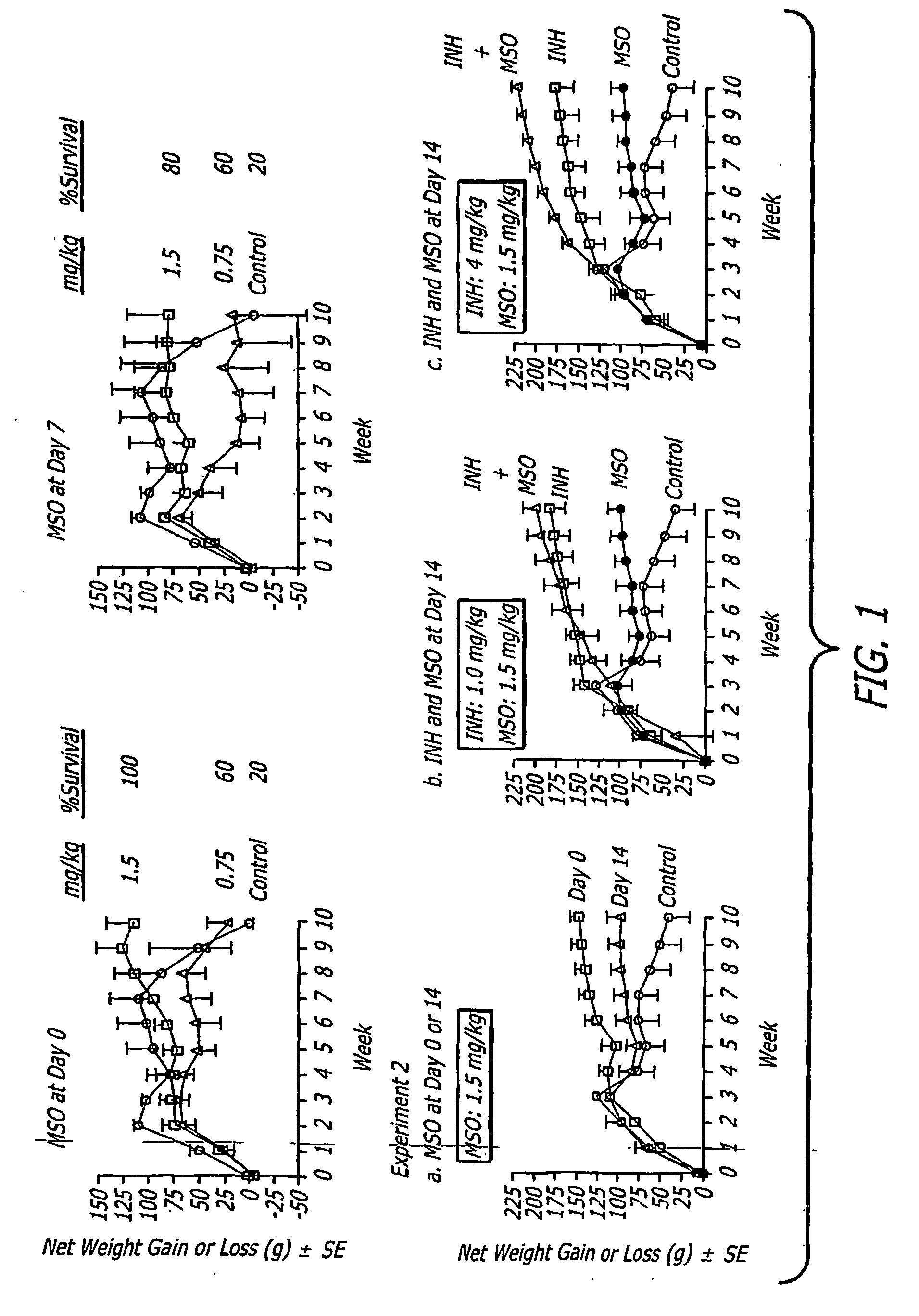 Anti-microbial agents derived from methionine sulfoximine analogues