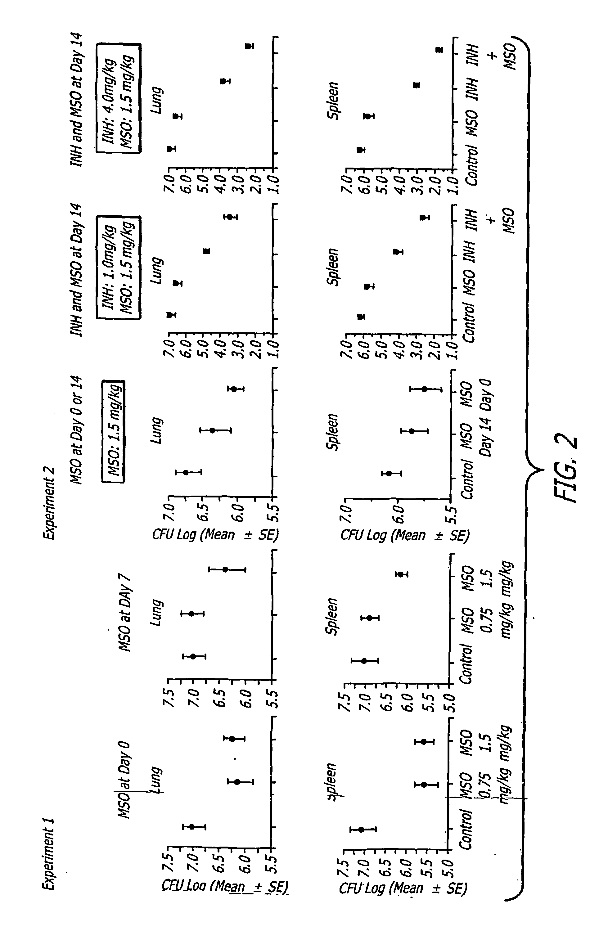 Anti-microbial agents derived from methionine sulfoximine analogues