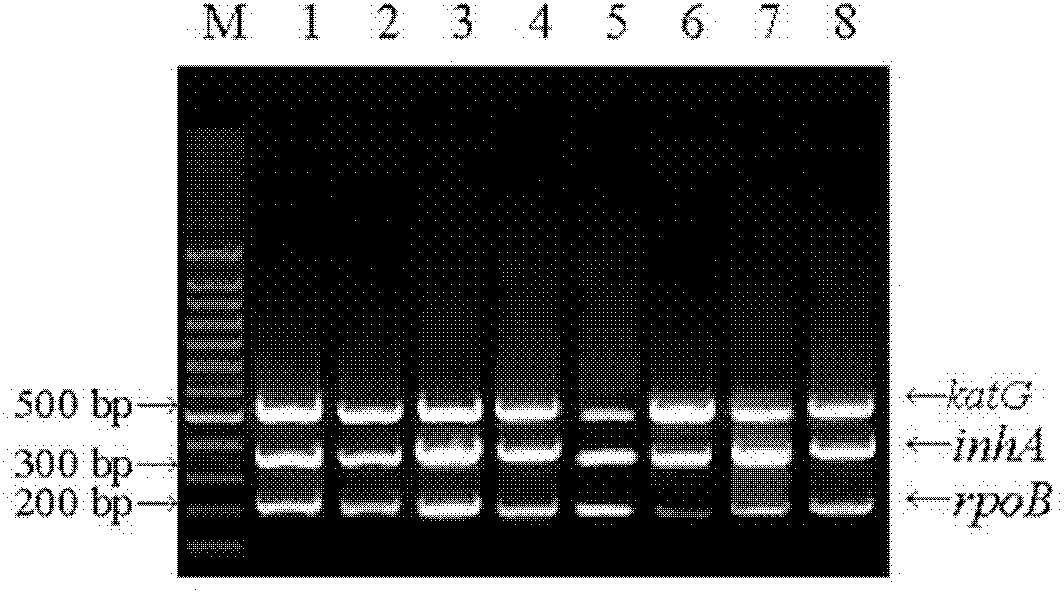 Method for detecting multi-drug resistance of Mycobacterium tuberculosis