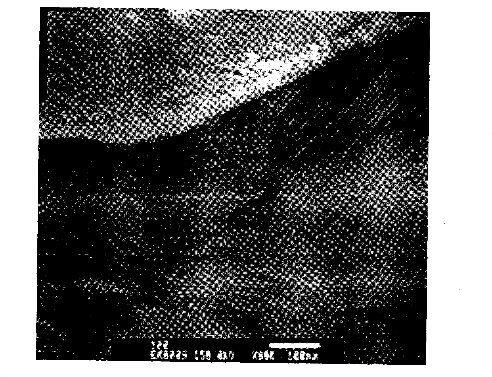 Quantitative determination method of martensite in dual phase steel