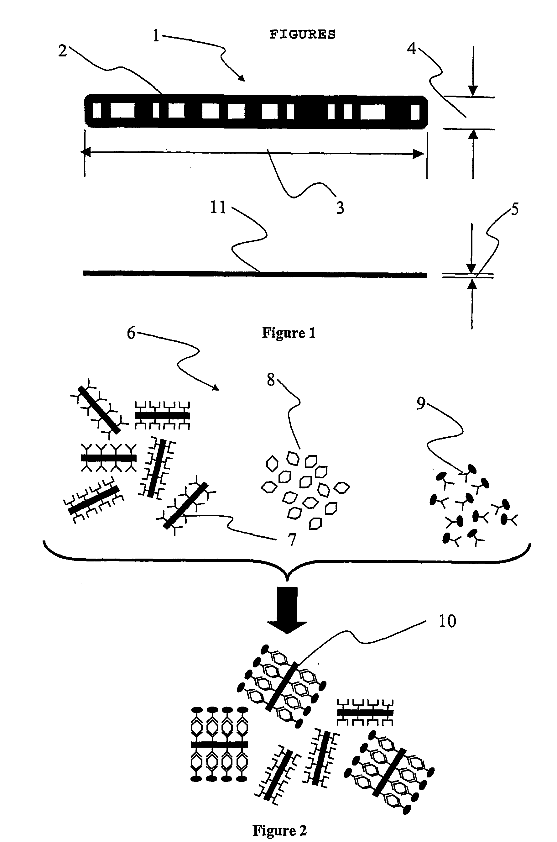 Biochemical method and apparatus for detecting protein characteristics