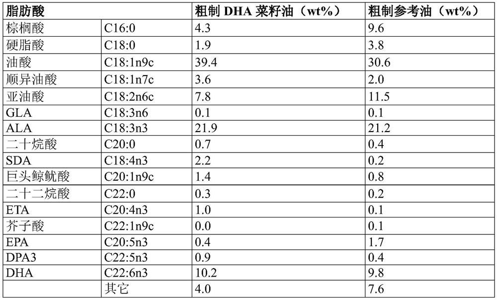 DHA enriched polyunsaturated fatty acid compositions