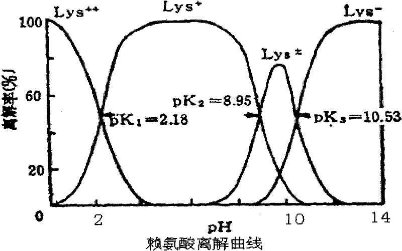 Method for purifying lysine