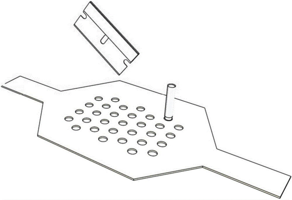 Device and method for patterning co-culture of multiple cells