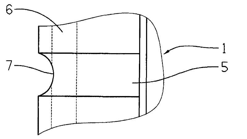 Clutch body and synchronizer ring for a synchronization device