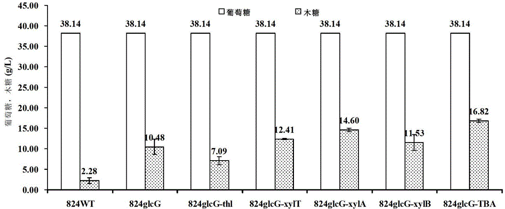 Method for improving sugar utilization rate of clostridium acetobutylicum in fermentation of mixed sugar