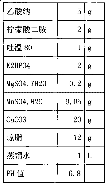 Preparation method and application method of feeding lactobacillus preparation capable of improving quality and flavor of pork