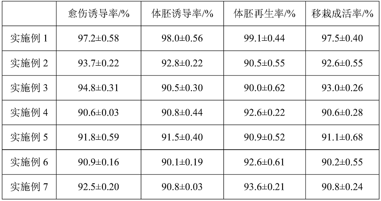 Coconut immature inflorescence tissue culture method