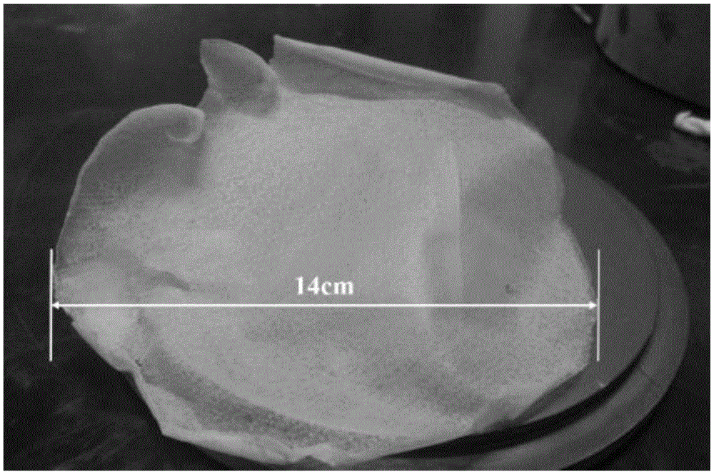 Self-supporting silicon carbide nanowire paper and preparing method thereof