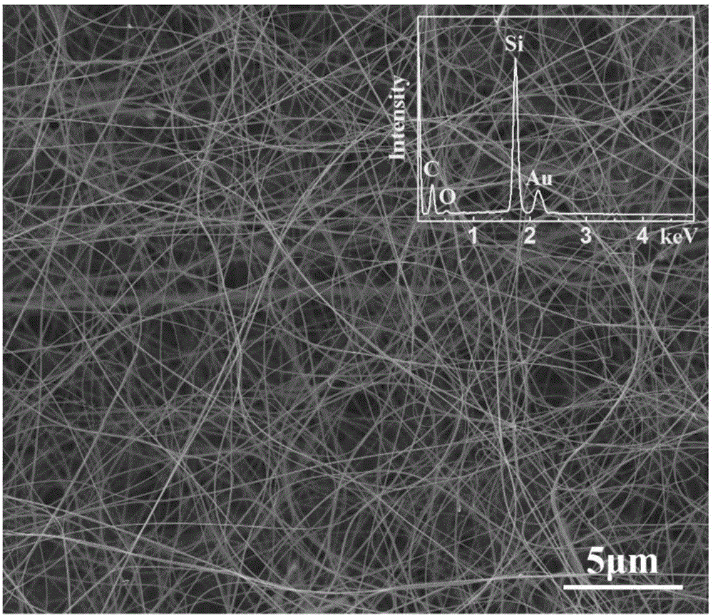 Self-supporting silicon carbide nanowire paper and preparing method thereof