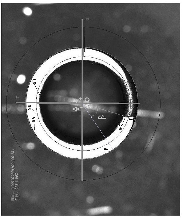 Laser marking method of coil spring