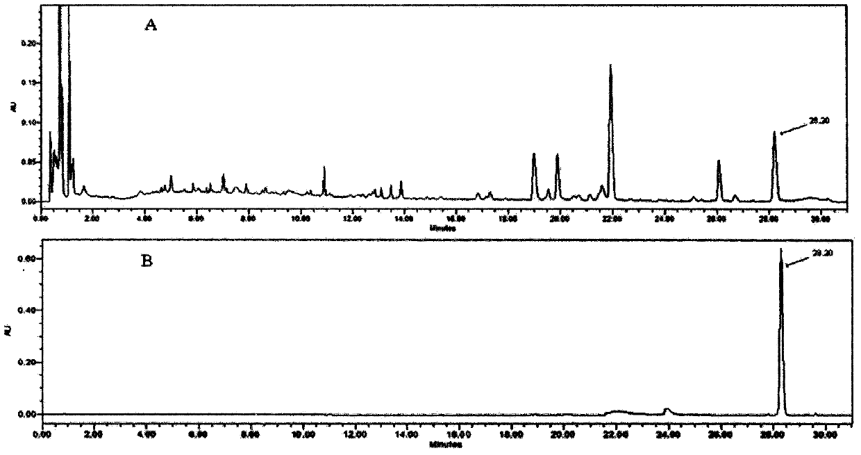 Separation and preparation of dihydrosanguinarine and application thereof in preparation of anti-inflammatory drugs