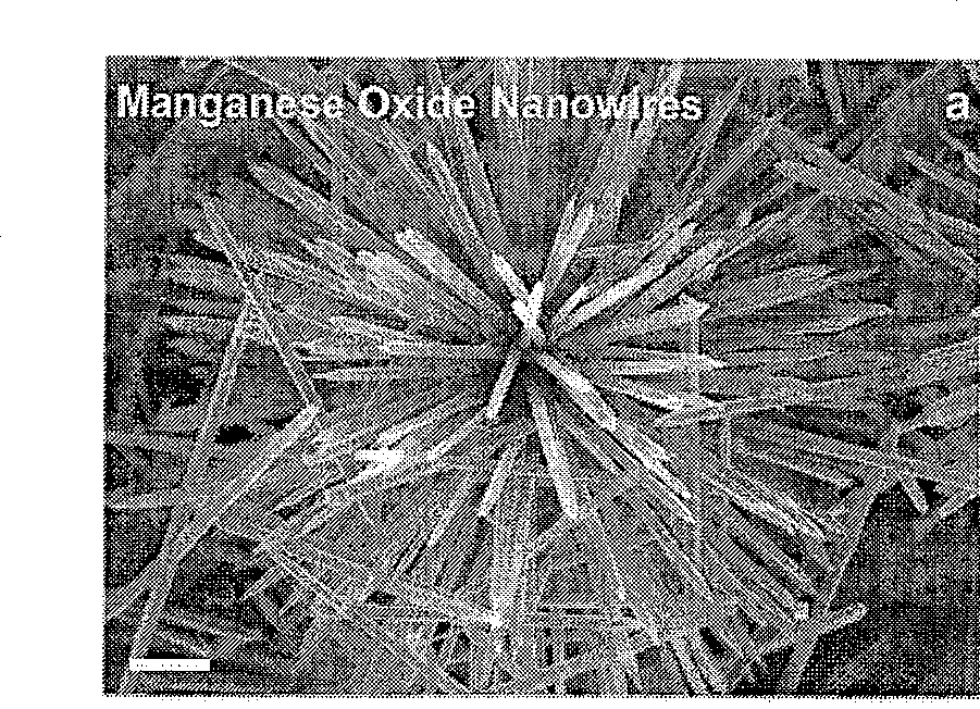 Method for synthesizing controllable template of nano polyaniline tube