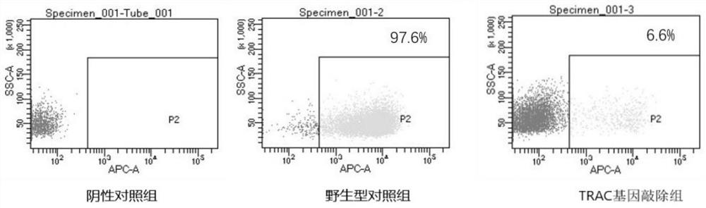 Modified immunologic effector cell and preparation method thereof