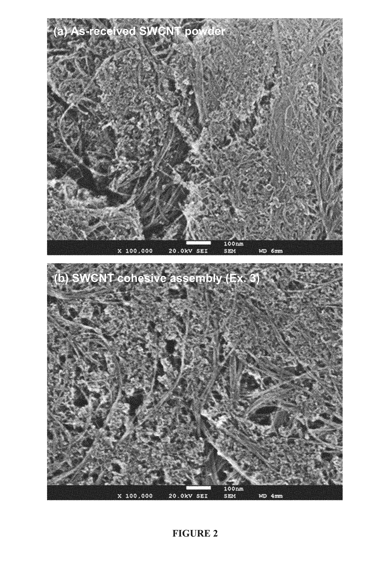 Highly purified carbon nanotubes and method of their preparation