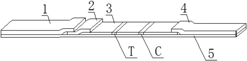 Rapid detection method for phenytoin sodium