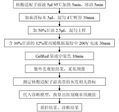 Liver cancer diagnostic kit based on nucleic acid aptamers