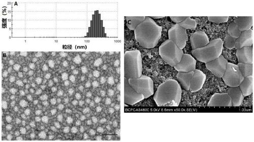 Small intestine transporter targeting nano calcium carbonate composition for improving oral absorption of insoluble drugs