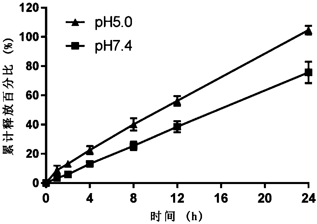 Small intestine transporter targeting nano calcium carbonate composition for improving oral absorption of insoluble drugs