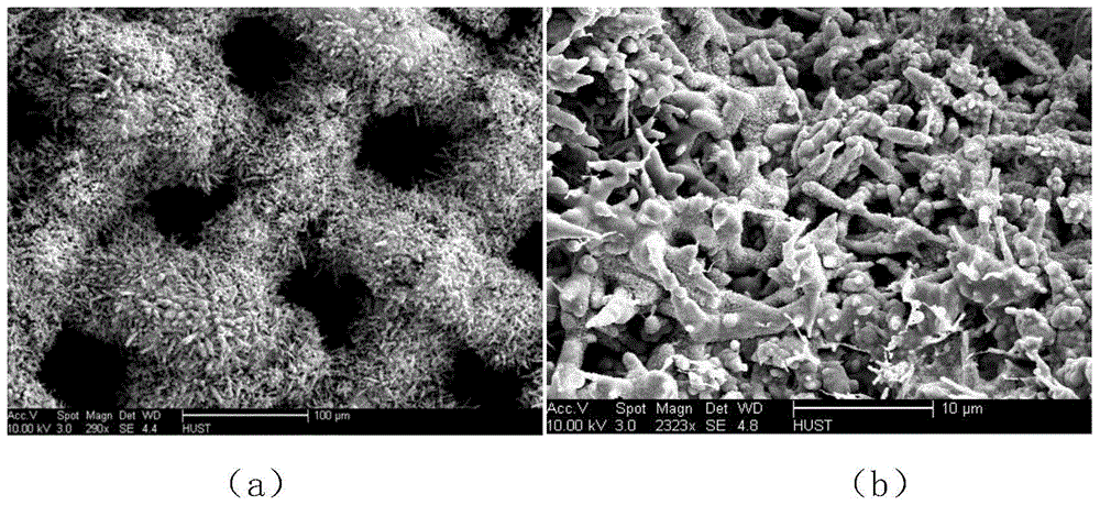 A kind of preparation method of nano copper phosphide