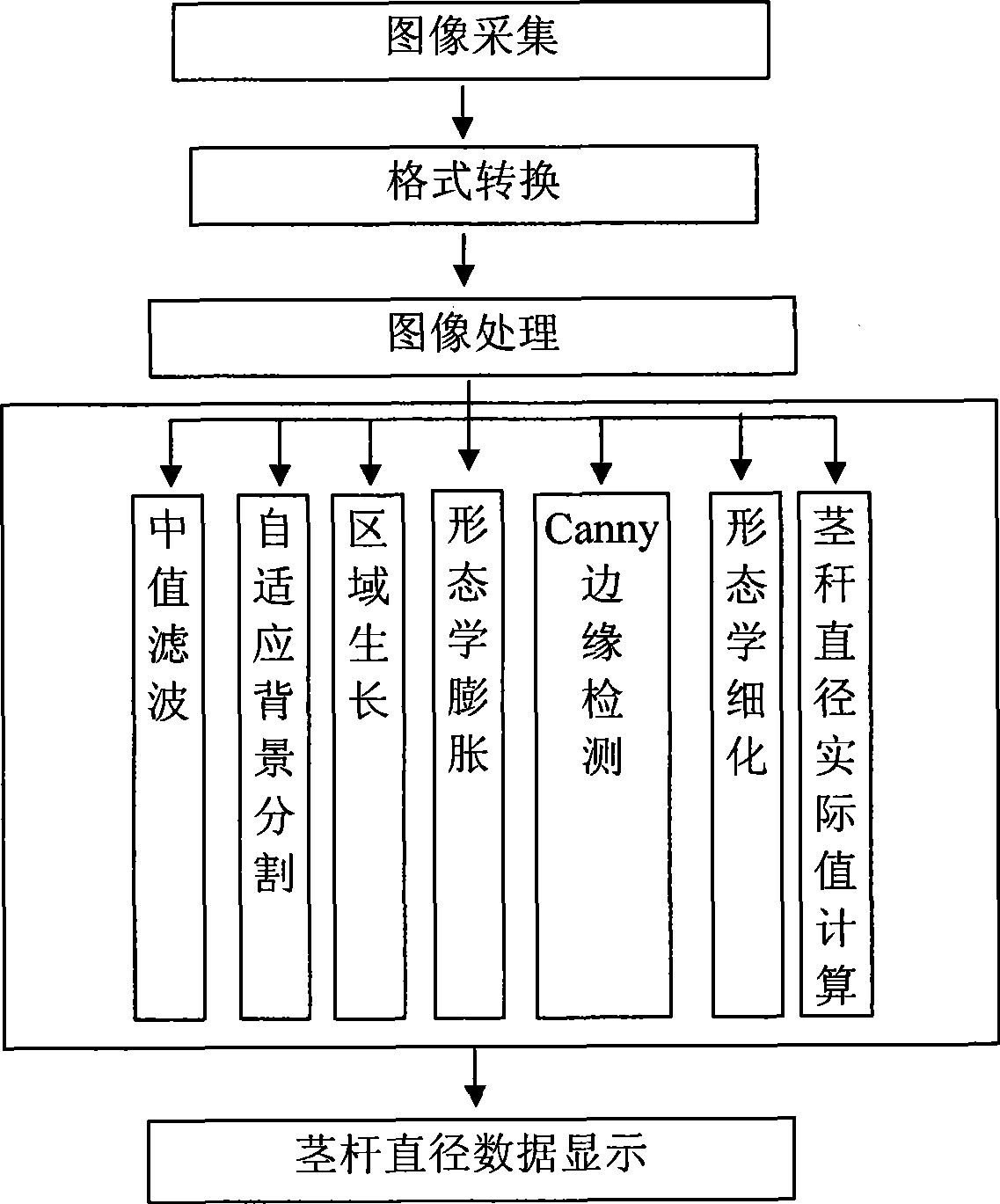 Plant haulm diameter measurement device and measurement method based on machine vision