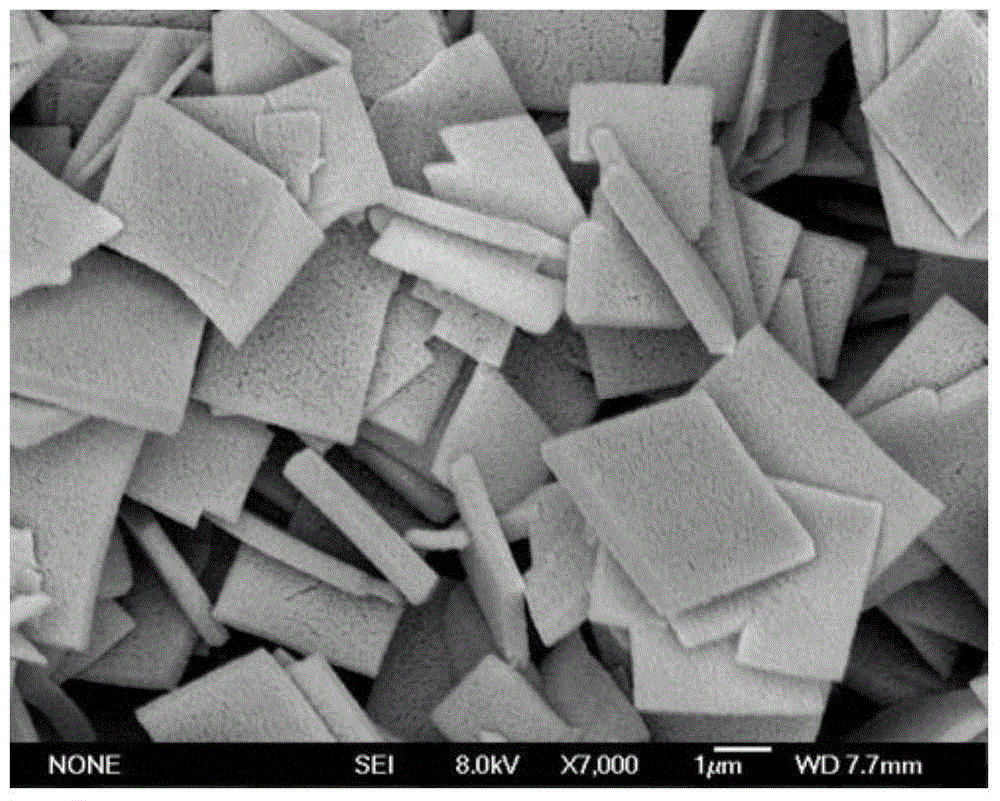 A porous silver micro-nano structure and its shape and size controllable preparation method