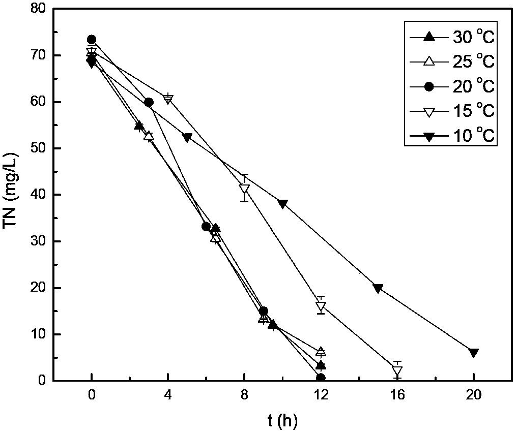 Acinetobacter johnsonii bacterial strain capable of low-temperature synchronous denitrification phosphorous removal and application thereof