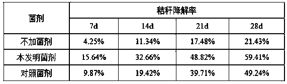 Application of Bacillus licheniformis in straw degradation, microbial agent containing the bacterium and its application