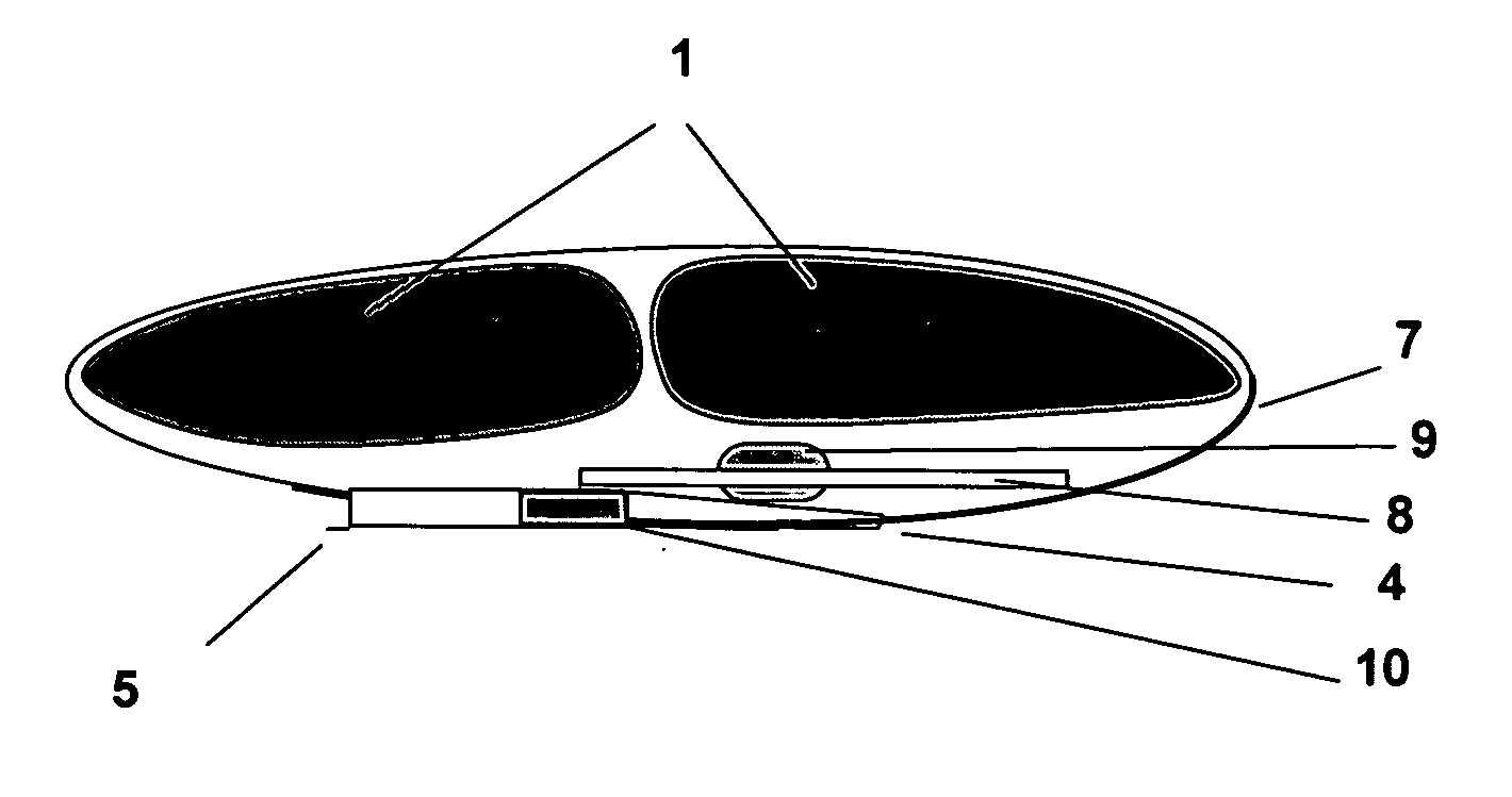 Flight/launch vehicle and method using internally stored air for air-breathing engines