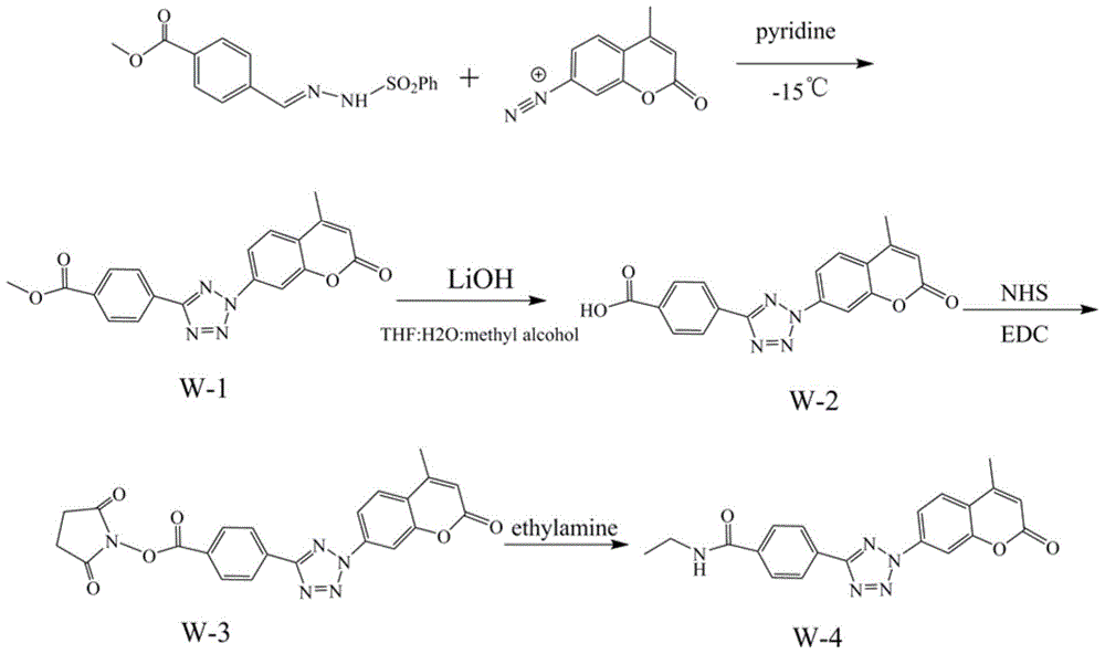 DNA marker based on optical click reaction and fluorescent response, preparation method and application