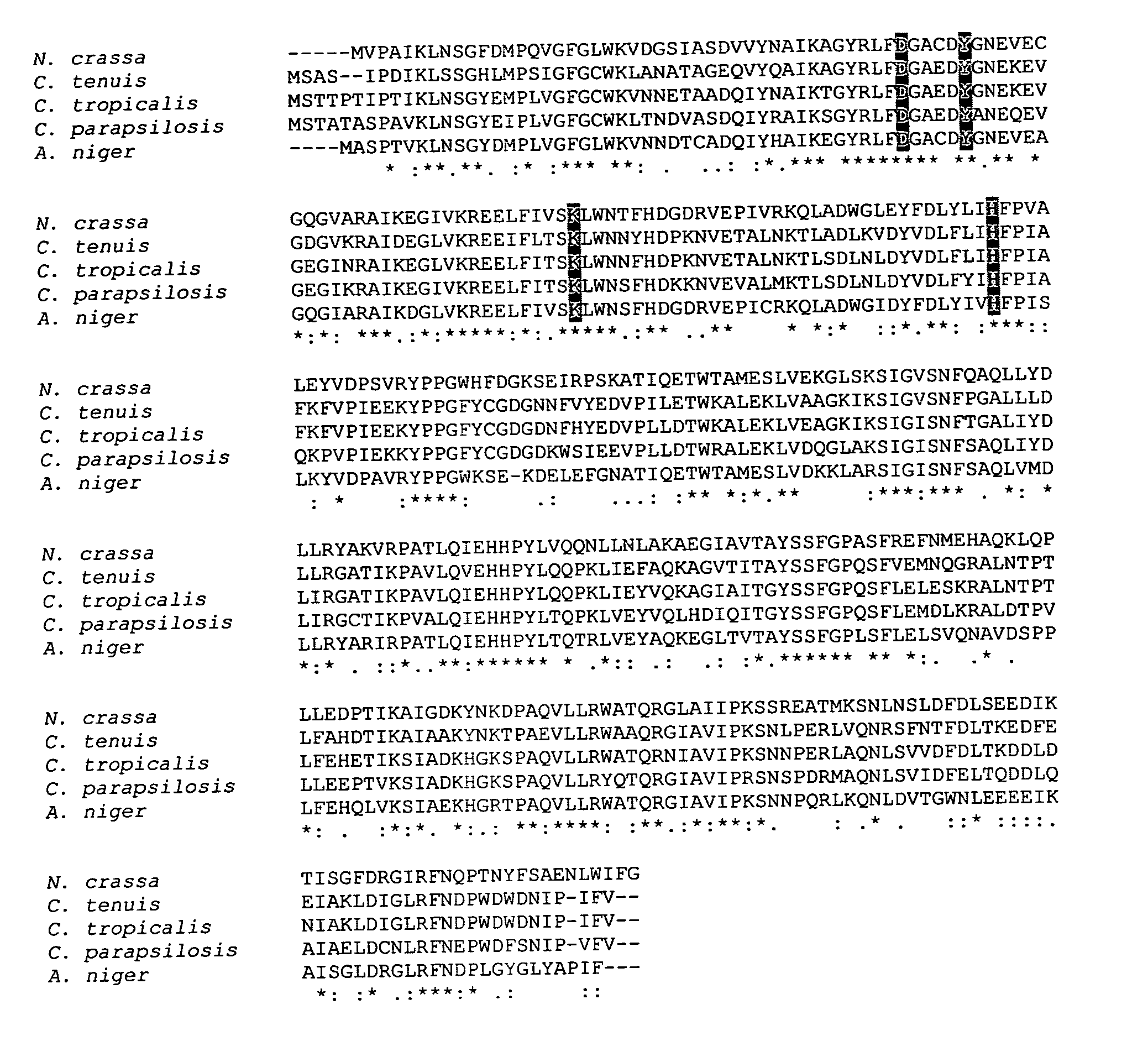 Highly active xylose reductase from neurospora crassa