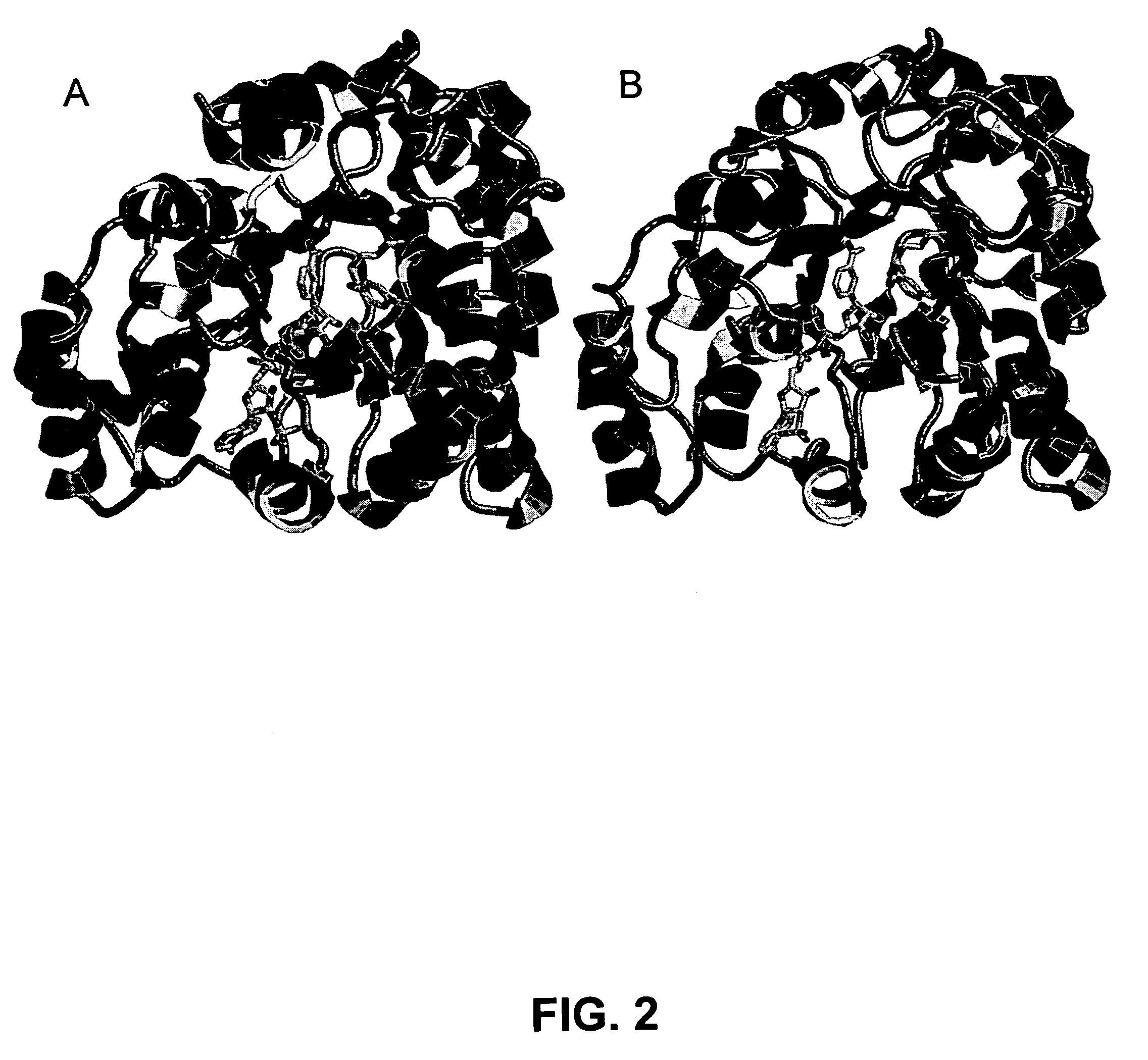 Highly active xylose reductase from neurospora crassa