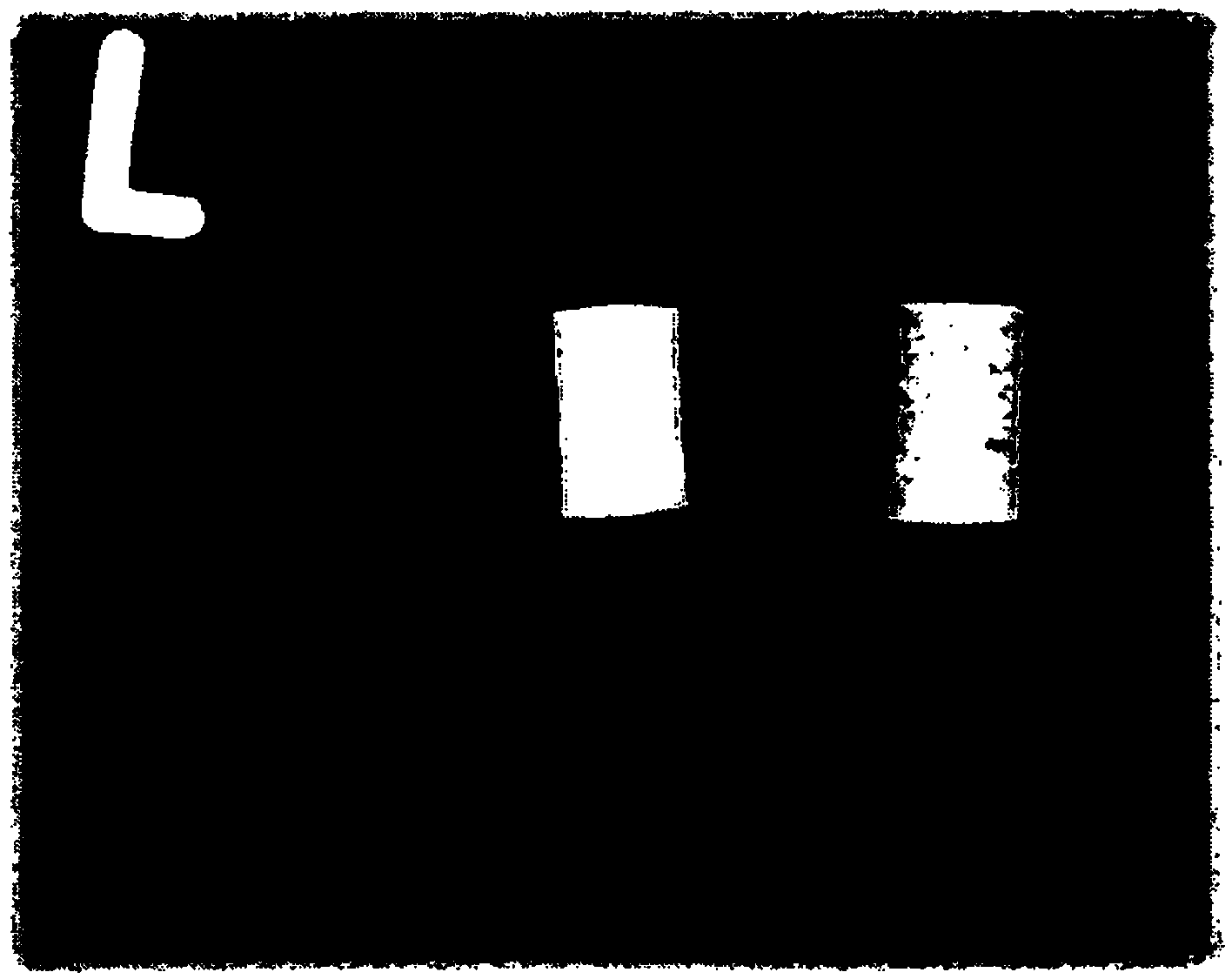 Biodegradable composite material