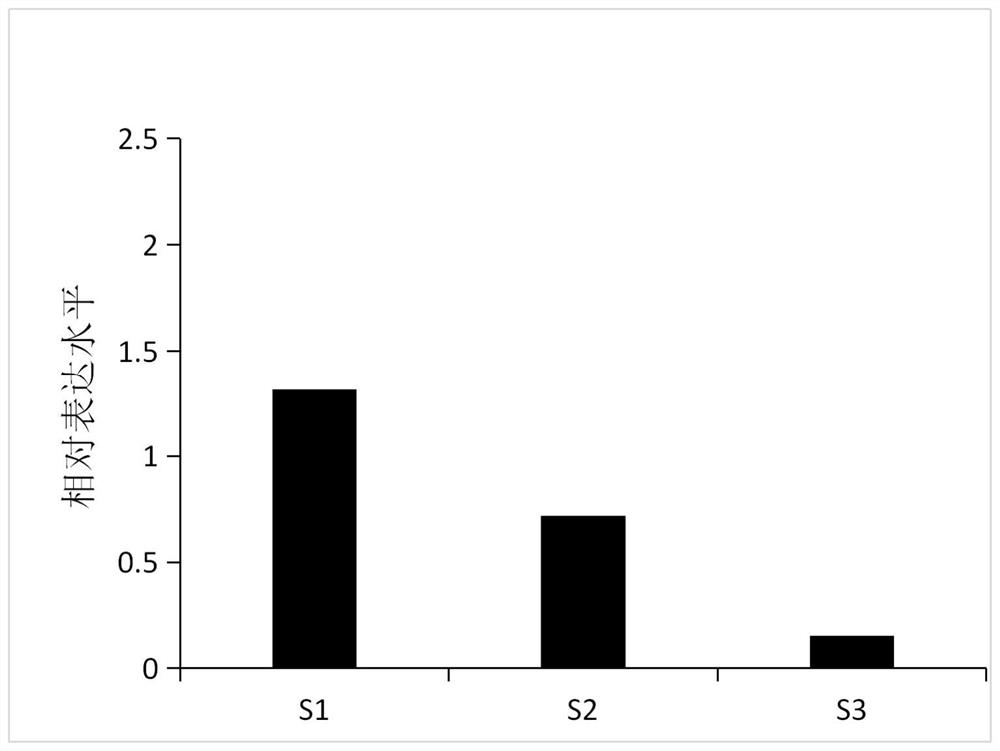 A kind of Lycoris llbhlh19 gene and its expressed protein and application