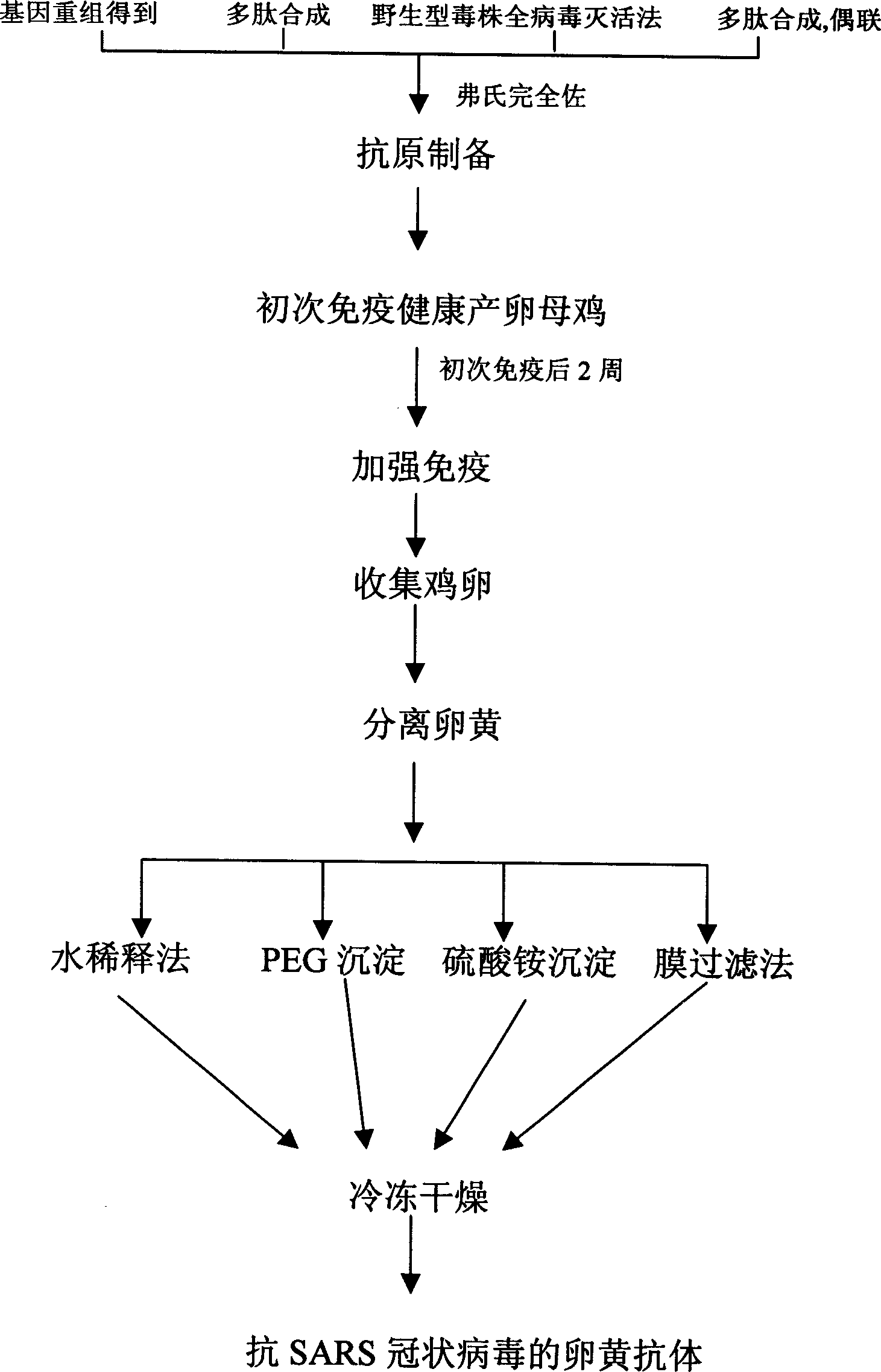 Yolk antibody of anti SARS coronavirus and its preparation method and liquid preparation