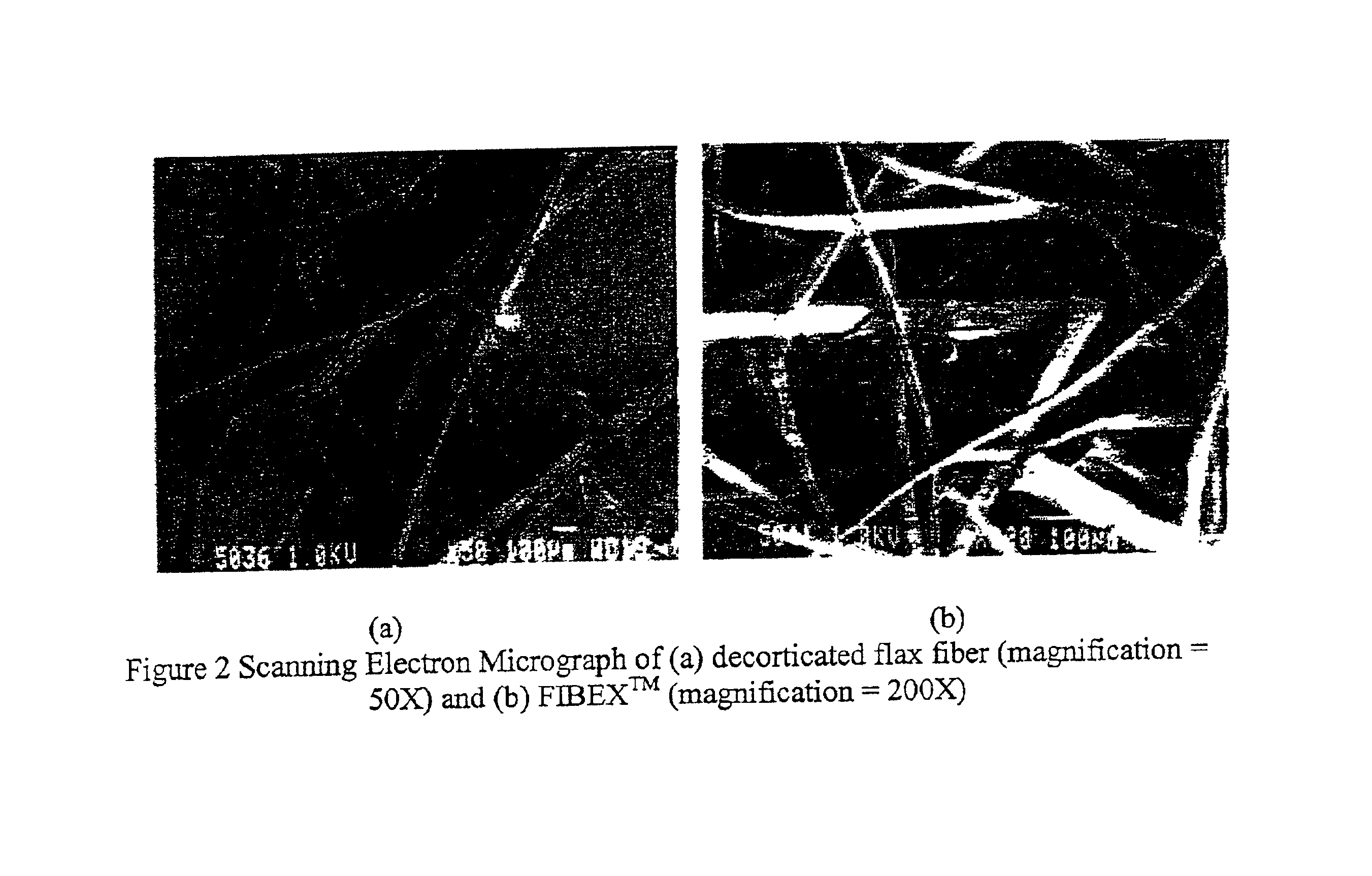 Fibrillated bast fibers as reinforcement for polymeric composites