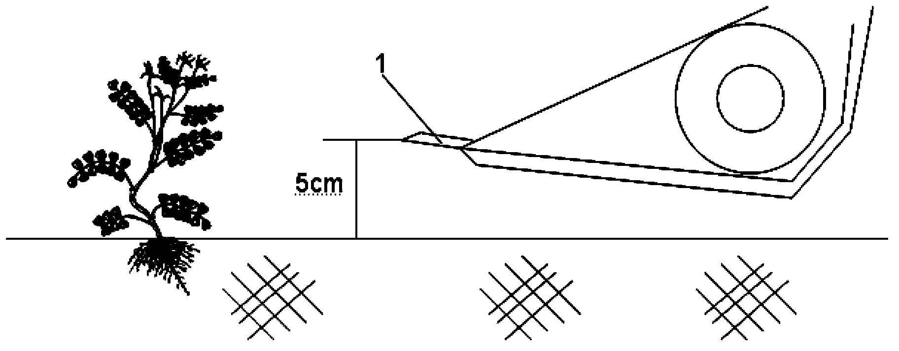 Mechanical Chinese milk vetch seed harvesting method and device