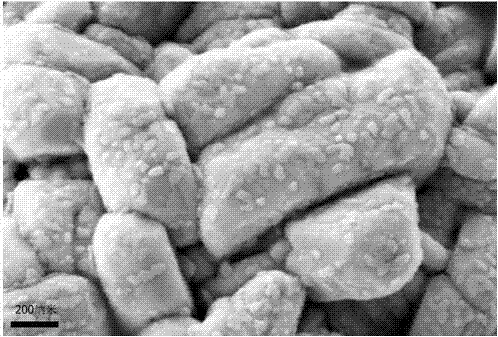 Surface coating type ternary positive electrode material and preparation method thereof