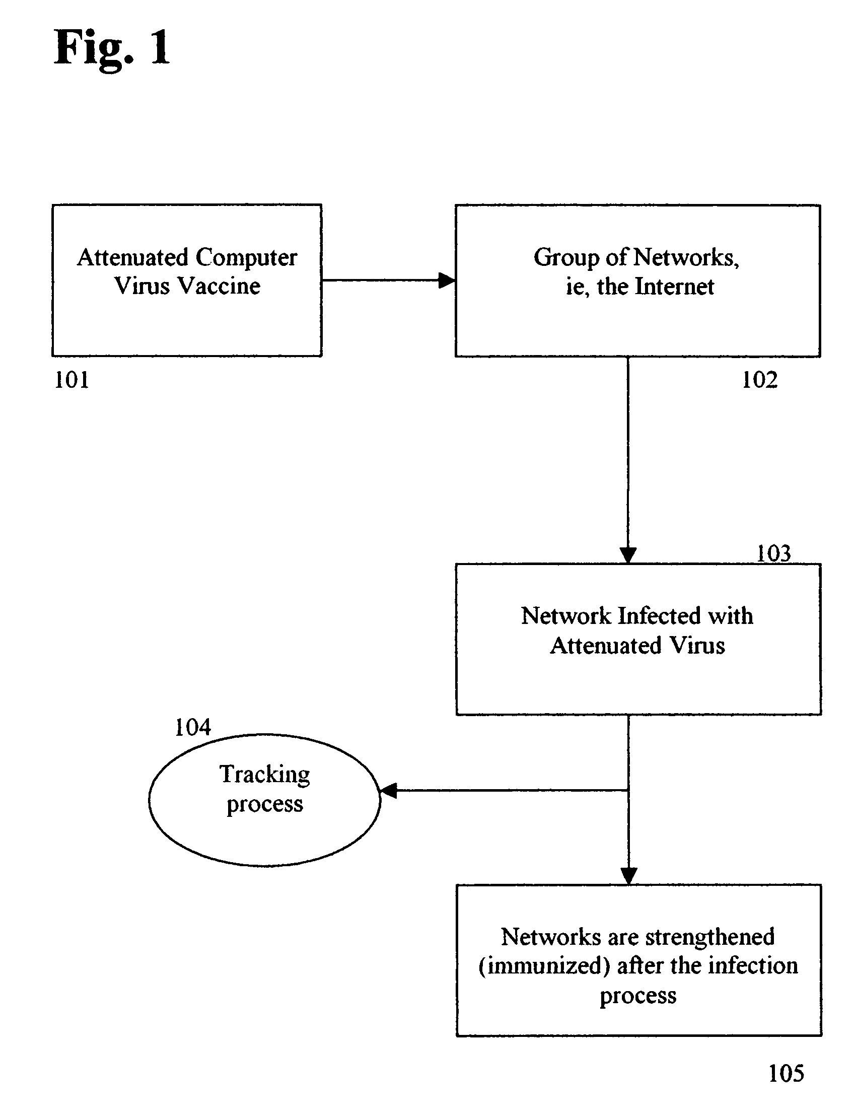 Attenuated computer virus vaccine