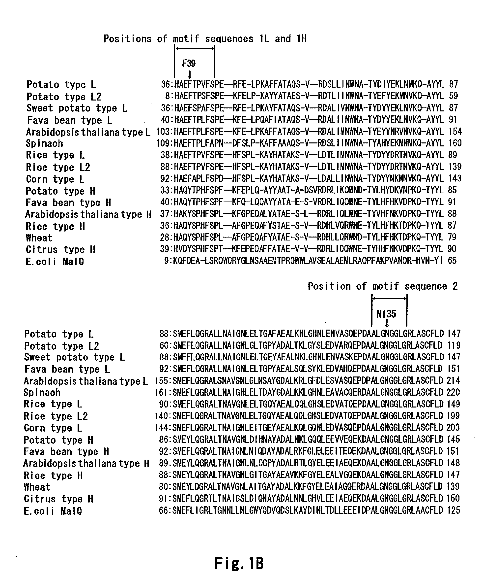 METHOD OF HEAT-STABILIZING alpha-GLUCAN PHOSPHORYLASE (GP)